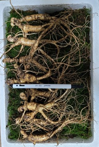 신재용님의 기타작물 · 자유게시판 작성글 사진