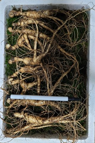 신재용님의 기타작물 · 자유게시판 작성글 사진