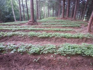 신재용님의 기타작물 · 자유게시판 작성글 사진