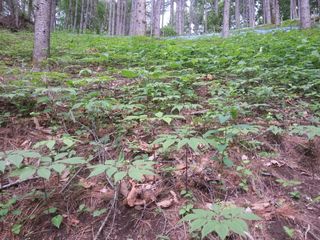 신재용님의 기타작물 · 자유게시판 작성글 사진