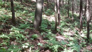 신재용님의 기타작물 · 자유게시판 작성글 사진