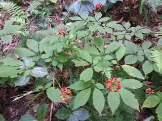 신재용님의 기타작물 · 자유게시판 작성글 사진