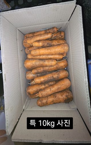 김태환님의 작성글 사진