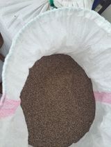 팜모닝 들깨·자유게시판 게시글 이미지