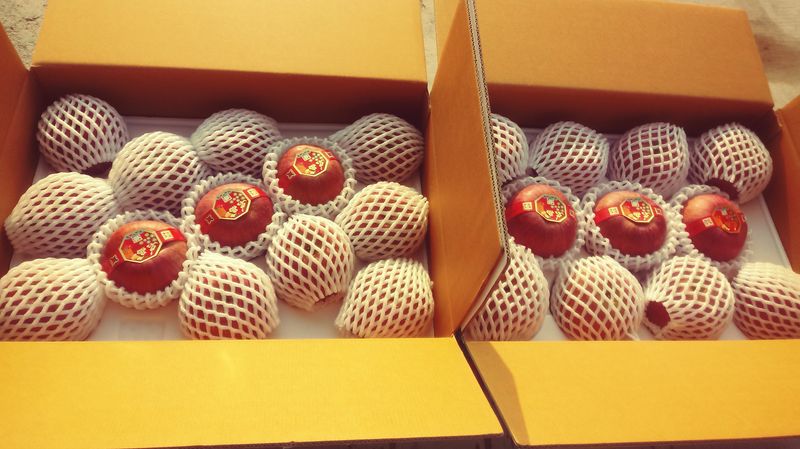 이윤동님의 장터 판매 상품 [새콤달콤 아삭 찐한맛 부사 [미얀마]설선물용,제수용사과 주스용 ] 첨부 사진