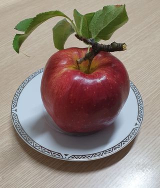 호랑이와인성이님의 사과 · 저장•가공 작성글 사진