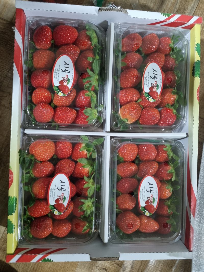 장터 상품 [딸기 500그램 ] 썸네일