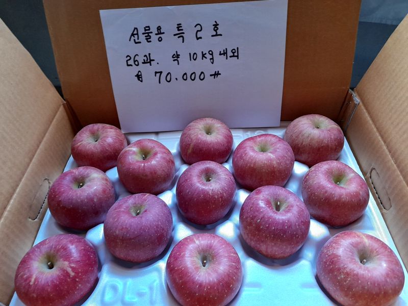 김주영님의 장터 판매 상품 [경북 봉화 부사 사과 🍎 꼬마한입사과 10kg/ 정품 5kg, 10kg 🍎 ] 첨부 사진
