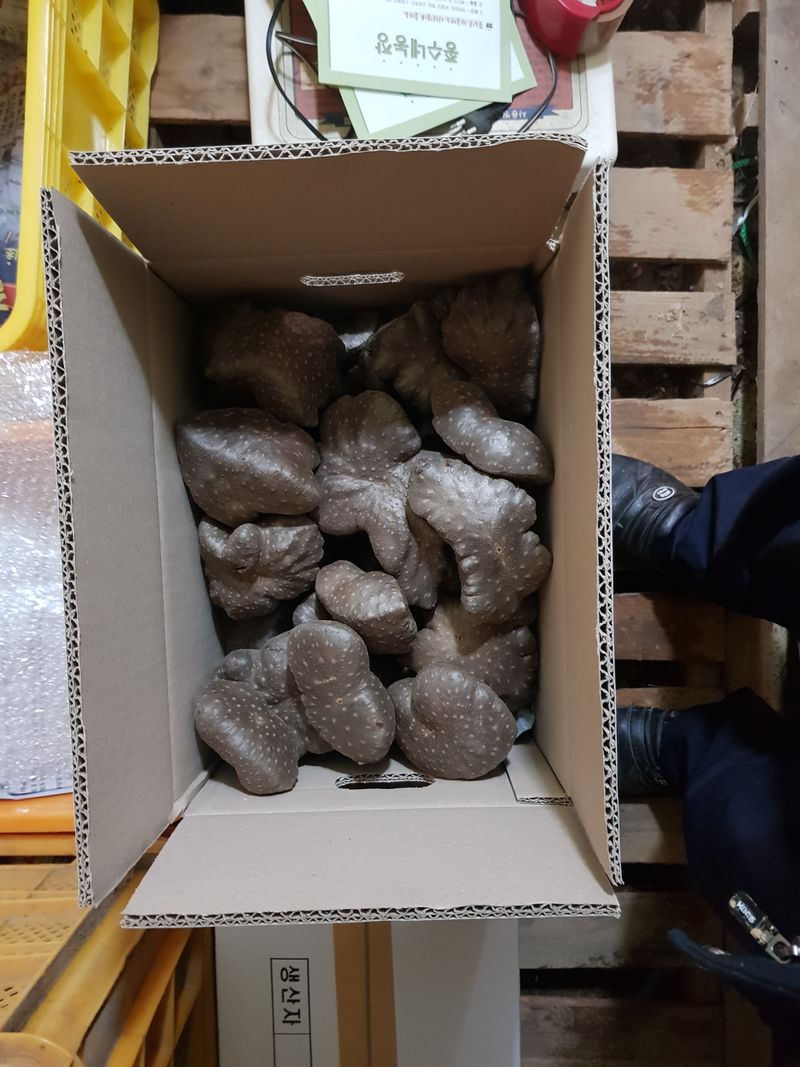 종수네농장님의 장터 판매 상품 [하늘마 5kg] 첨부 사진