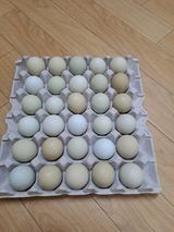 팜모닝 · 게시글 이미지