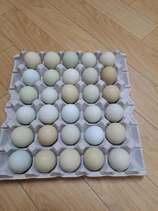 아리맘님의 작성글 사진