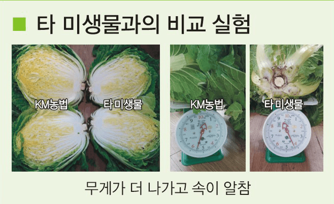 장터 상품 [자가 미생물 제제(1박스 7개입)] 썸네일