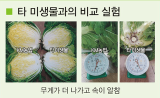 토리팜님의 작성글 사진