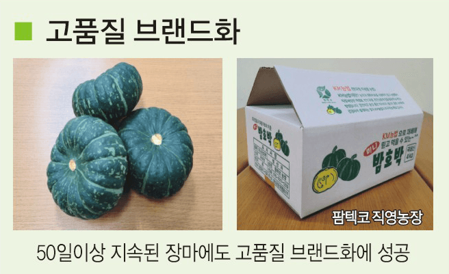 토리팜님의 장터 판매 상품 [자가 미생물 제제(1박스 7개입)] 첨부 사진