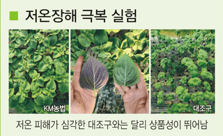 토리팜님의 작성글 사진