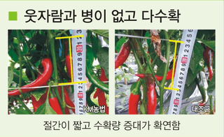 토리팜님의 작성글 사진