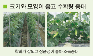 토리팜님의 작성글 사진