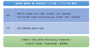 토리팜님의 작성글 사진