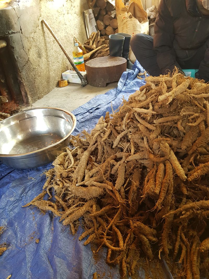 장터 상품 [더덕] 썸네일