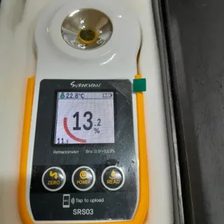 대정골귤꽃농원님의 작성글 사진