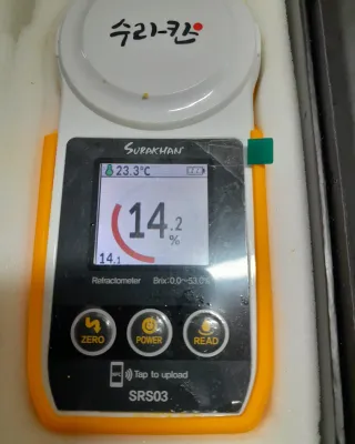 대정골귤꽃농원님의 작성글 사진