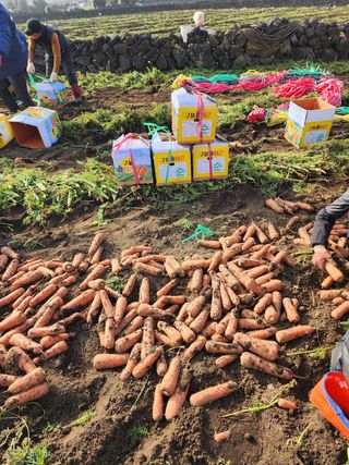 김태환님의 작성글 사진