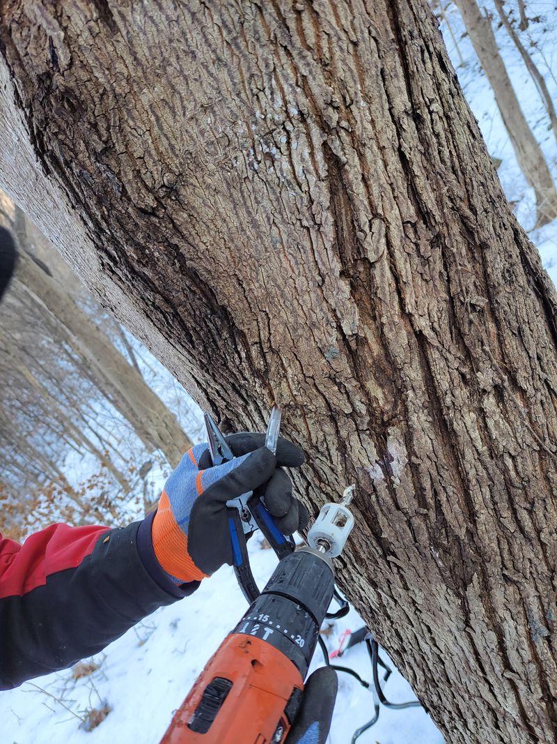 장터 상품 [백운산에서나오는고로쇠한마로4.3키로4개가한박스] 썸네일