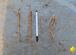 이기자농장님의 작성글 사진