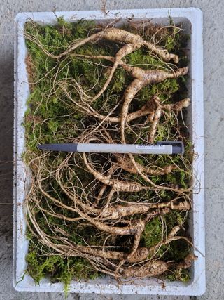 신재용님의 기타작물 · 자유게시판 작성글 사진