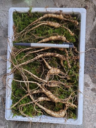 신재용님의 기타작물 · 자유게시판 작성글 사진