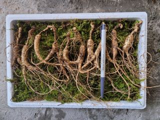 신재용님의 기타작물 · 자유게시판 작성글 사진