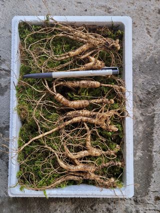 신재용님의 기타작물 · 자유게시판 작성글 사진