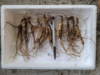 신재용님의 기타작물 · 자유게시판 작성글 사진