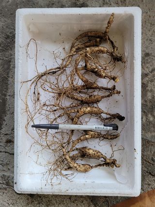 신재용님의 기타작물 · 자유게시판 작성글 사진