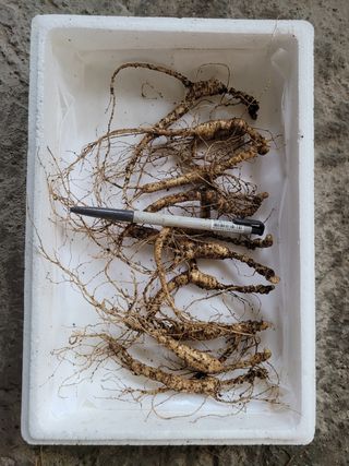 신재용님의 기타작물 · 자유게시판 작성글 사진