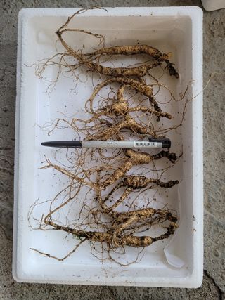 신재용님의 기타작물 · 자유게시판 작성글 사진