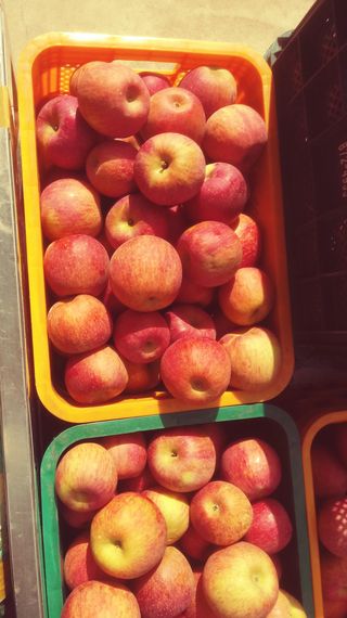 이윤동님의 사과 · 시세•판로 작성글 사진