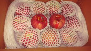 이윤동님의 사과 · 시세•판로 작성글 사진