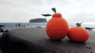 강창민님의 작성글 사진