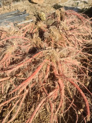 단삼님의 작성글 사진