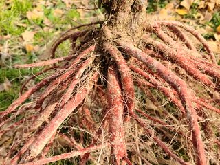 단삼님의 작성글 사진