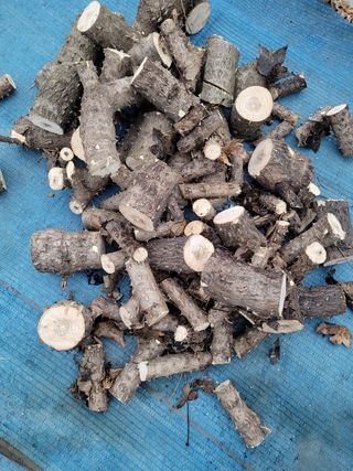 안성의 농사준비꾼님의 감 · 자유게시판 작성글 사진