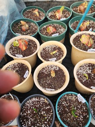 Preotu님의 기타작물 · 자유게시판 작성글 사진