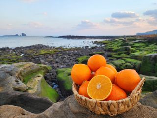 복희네농장(달콤향)님의 작성글 사진