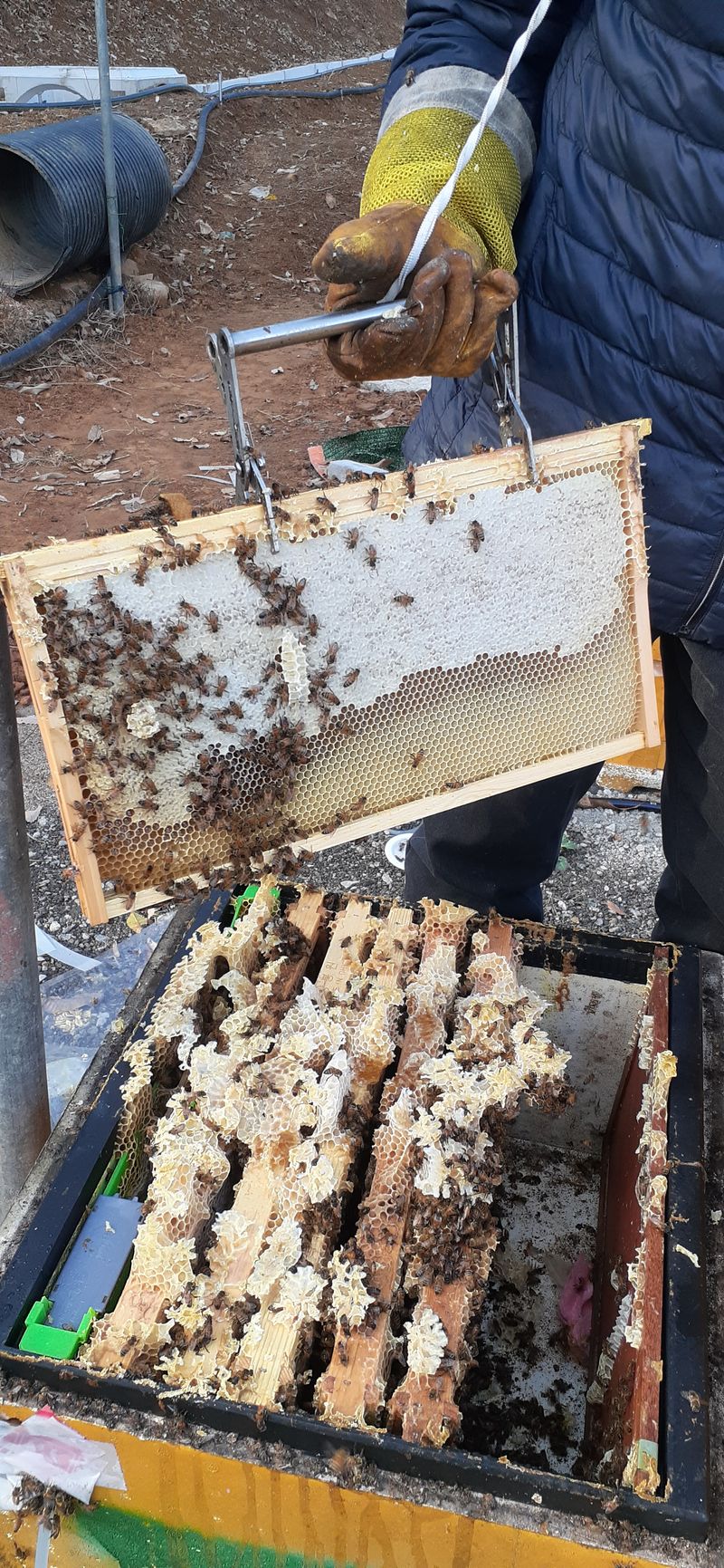 장터 상품 [아키시꿀  기능성헛개꿀  옷꿀  자연사양꿀2.4키로] 썸네일