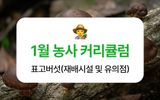 팜모닝 버섯·토양준비 게시글 이미지