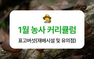 버섯 농사도우미님의 버섯 · 토양준비 작성글 사진