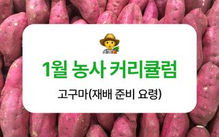 고구마 농사도우미님의 고구마 · 농사길잡이 작성글 사진