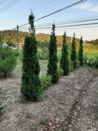 본트리님의 작성글 사진