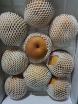 팜모닝 배·수확 게시글 이미지